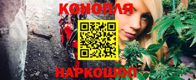 гидропоника Севастополь